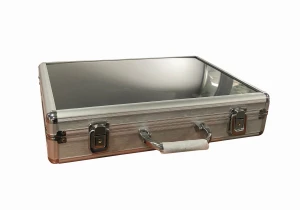 Metal Case with Window Watch Box WM2