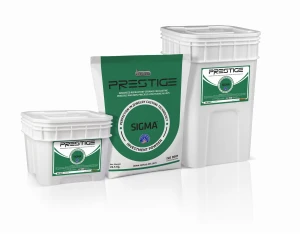 Gips odlewniczy PRESTIGE SIGMA do srebra