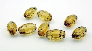 Glass SB11130157 (8 pcs)