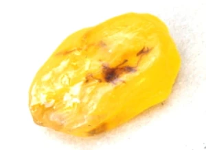 Amber soap Amber Touch 50g